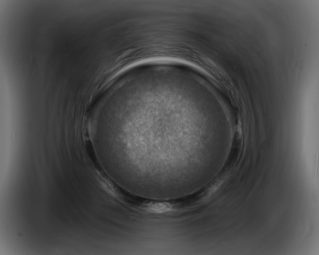 X0000086730409200704131111