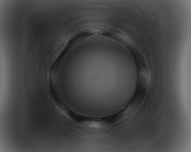 X0000086730412200704131111