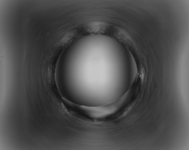 X0000086730416200704131111