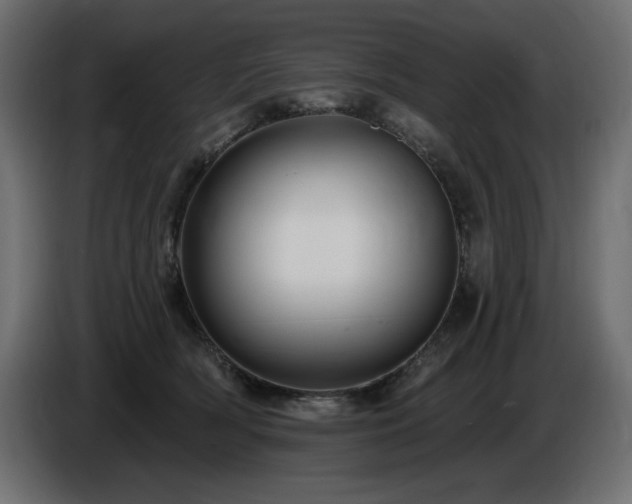 X0000086730418200704131111