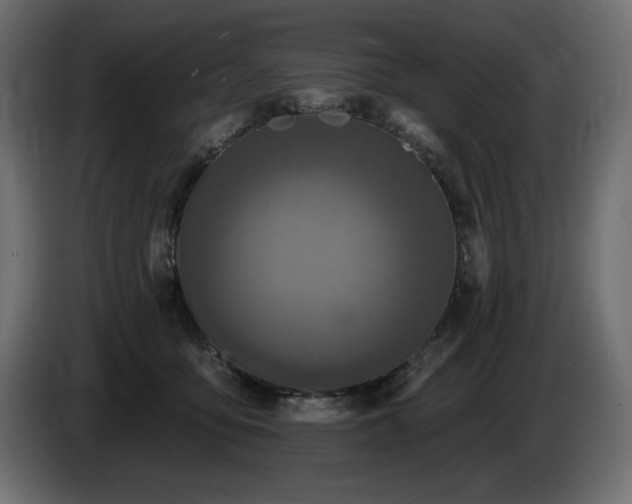 X0000086730419200704131111