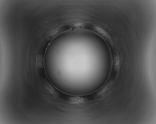 X0000086730421200704131111