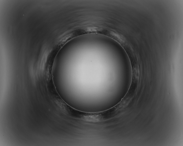 X0000086730422200704131111