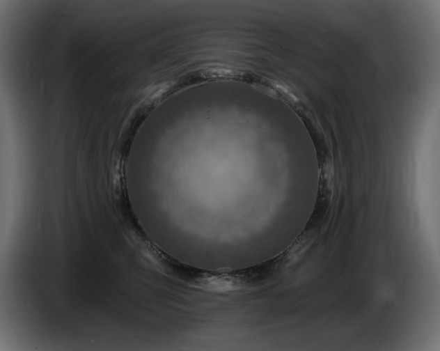 X0000086730423200704131111