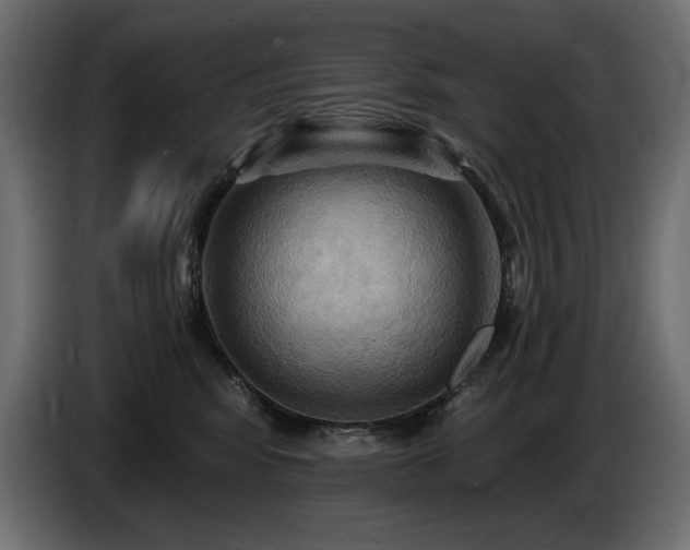 X0000086730424200704131111
