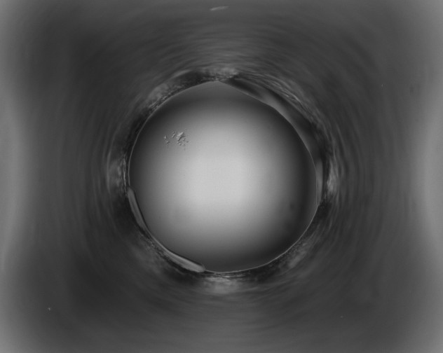 X0000086730425200704131111