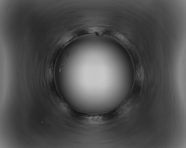 X0000086730426200704131111