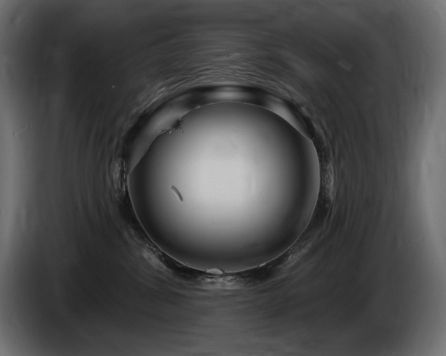 X0000086730428200704131111