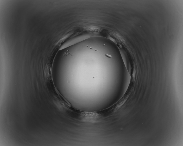 X0000086730429200704131111