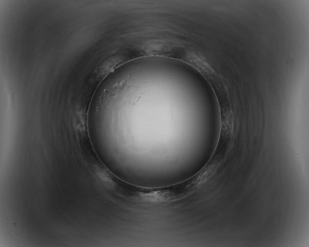 X0000086730430200704131111
