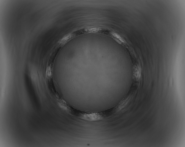 X0000086730431200704131111