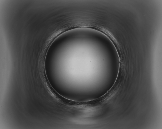 X0000086730433200704131110