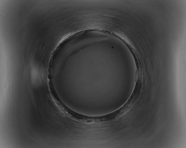 X0000086730434200704131110