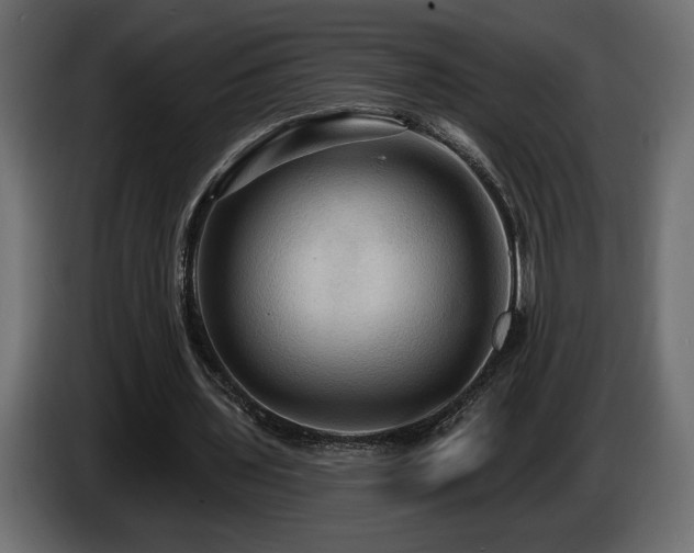 X0000086730435200704131110