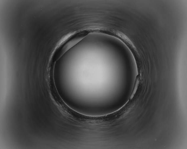 X0000086730436200704131110