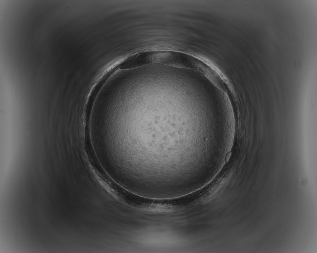 X0000086730437200704131110