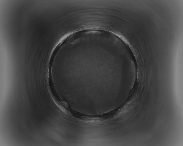 X0000086730438200704131110