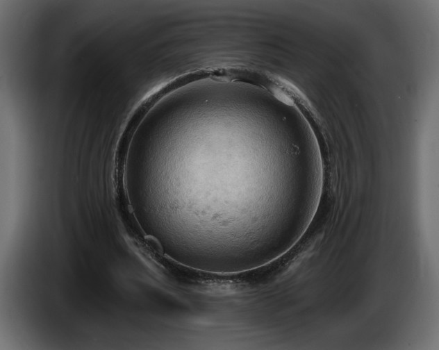 X0000086730439200704131110