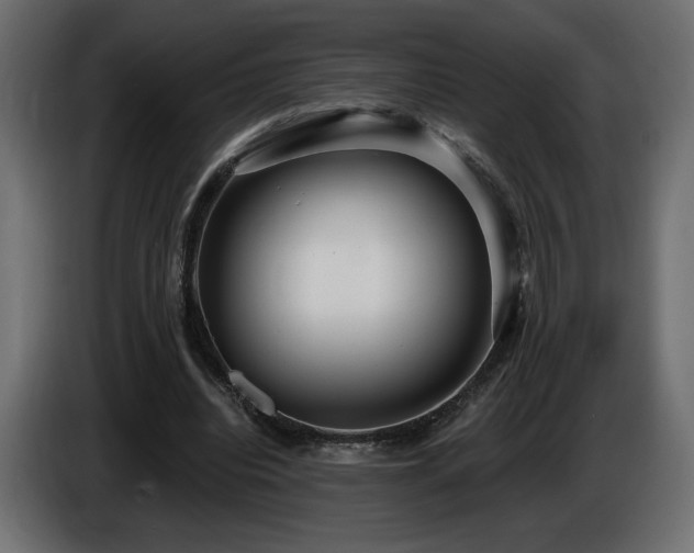 X0000086730440200704131110