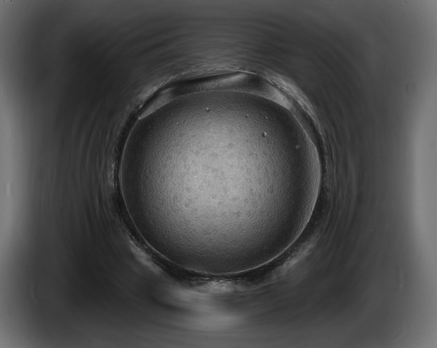 X0000086730441200704131110