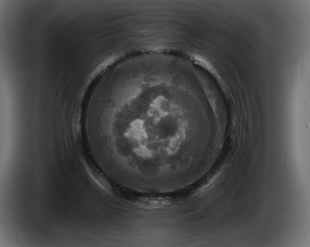 X0000086730443200704131110