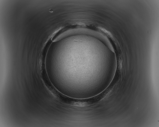 X0000086730444200704131110