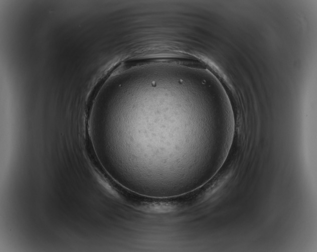 X0000086730445200704131110