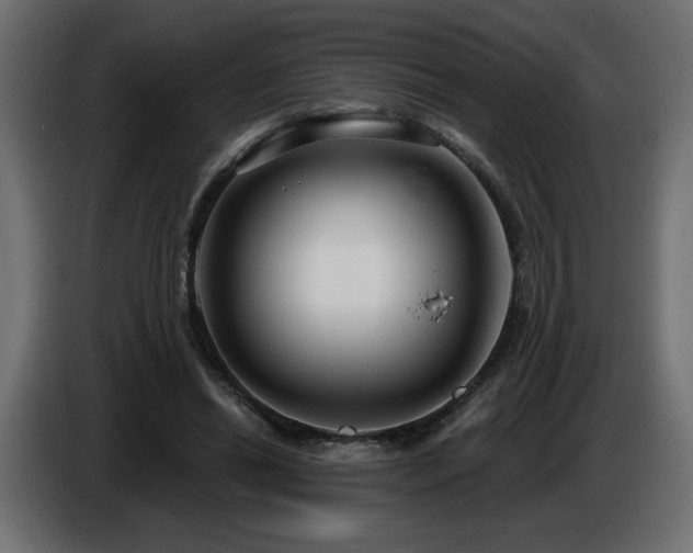 X0000086730446200704131110