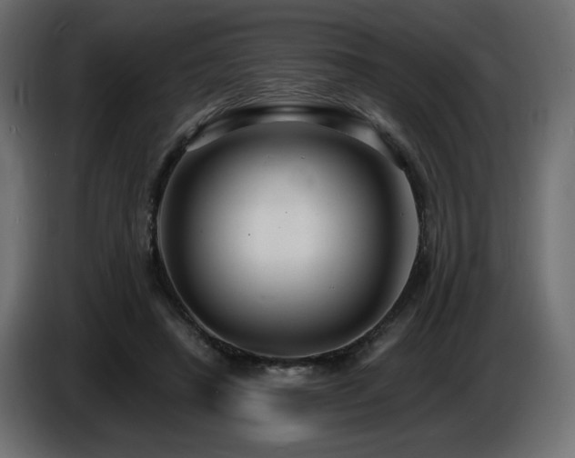 X0000086730450200704131110