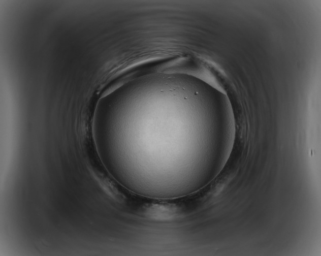 X0000086730455200704131110