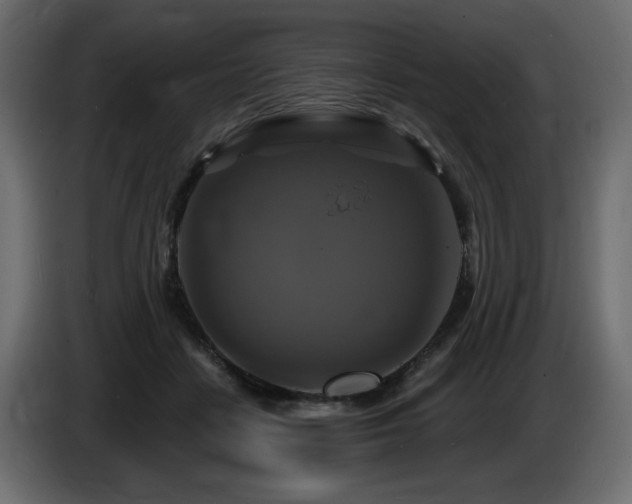 X0000086730458200704131110