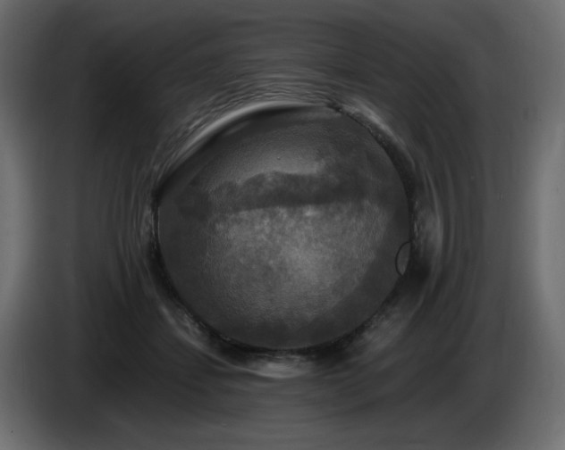 X0000086730459200704131110