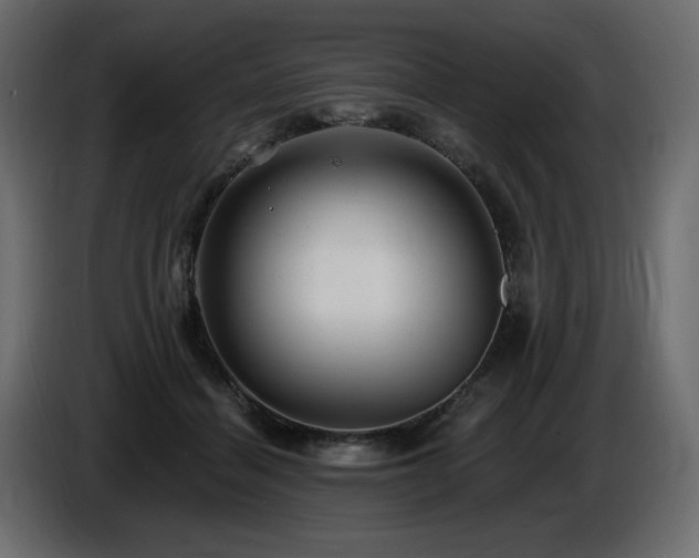 X0000086730460200704131110