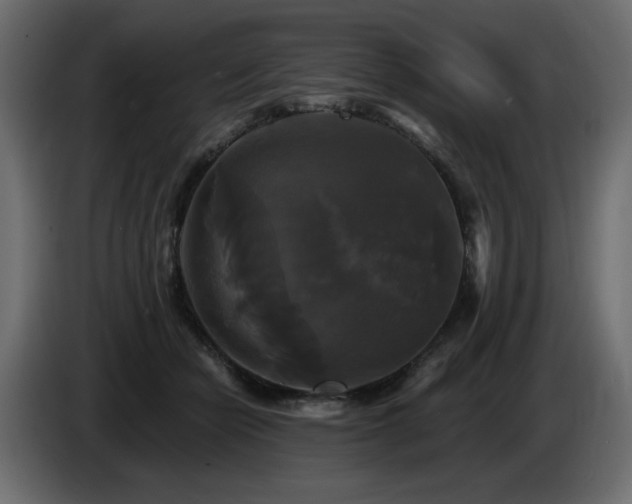 X0000086730462200704131110