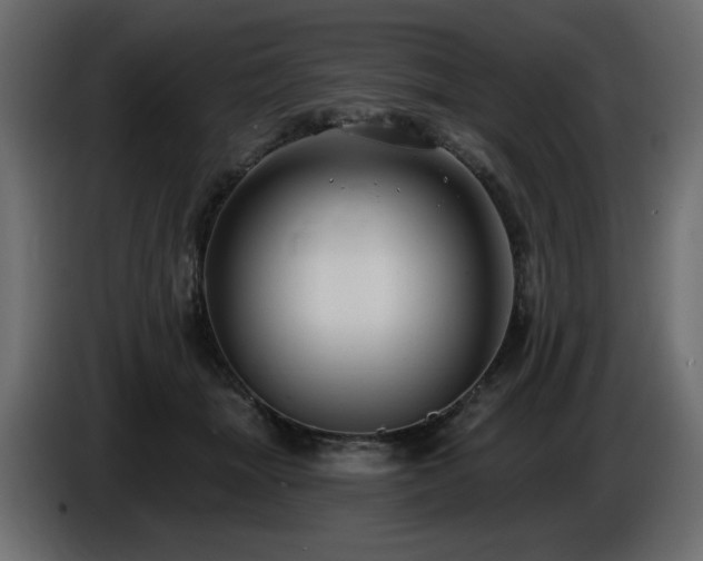 X0000086730463200704131110