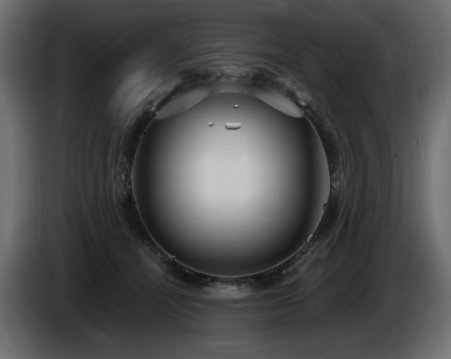 X0000086730464200704131110