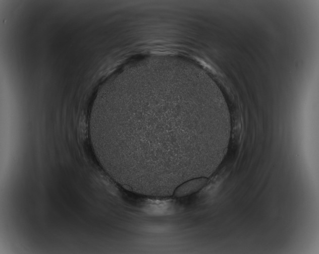 X0000086730469200704131110