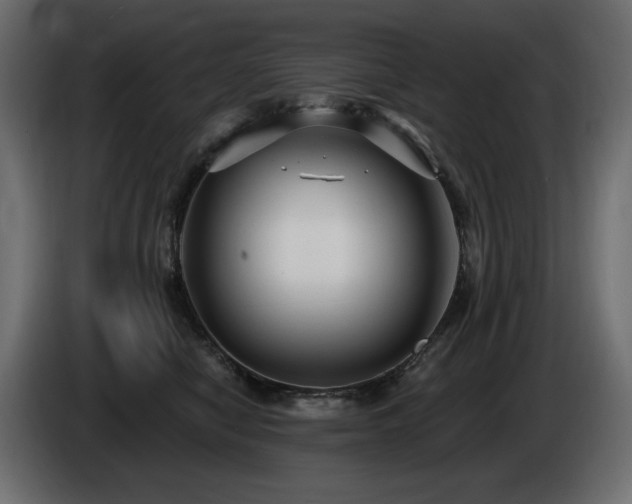 X0000086730470200704131110