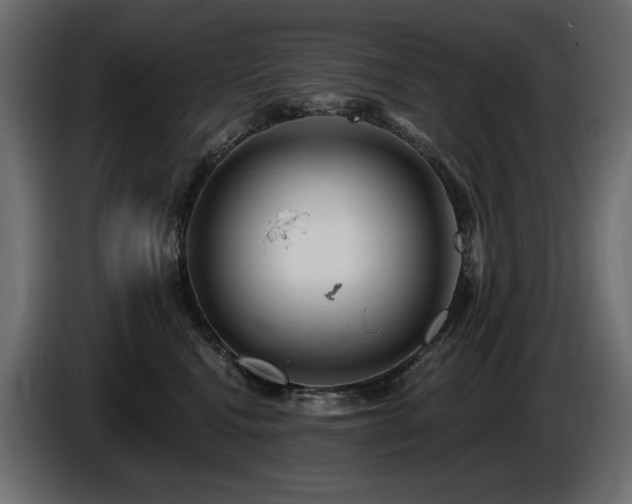 X0000086730472200704131110