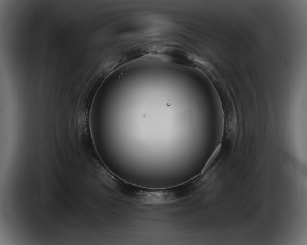 X0000086730473200704131110