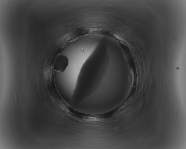 X0000086730475200704131110