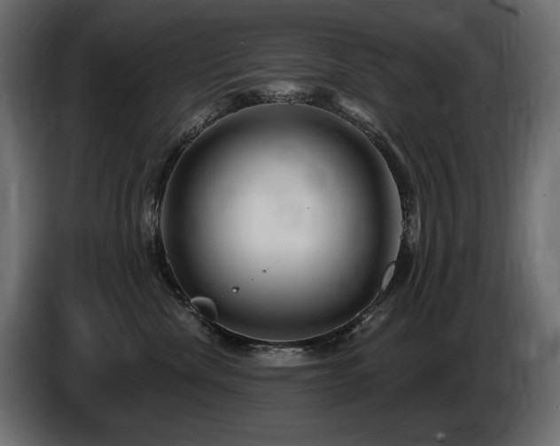 X0000086730476200704131110