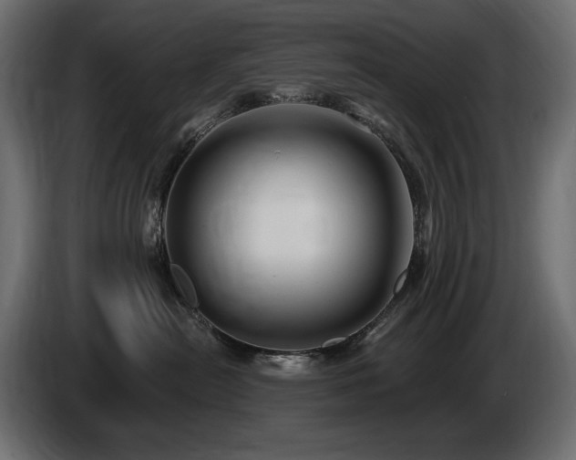 X0000086730478200704131110