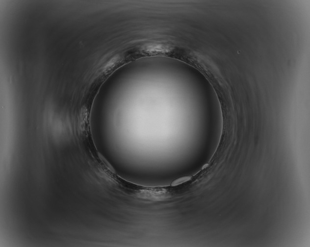 X0000086730480200704131111