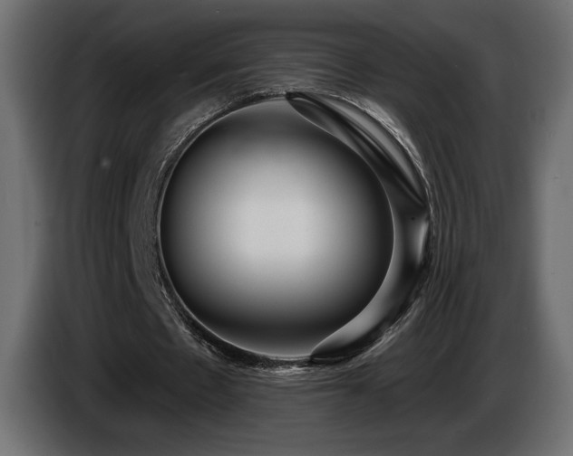 X0000086730481200704131110