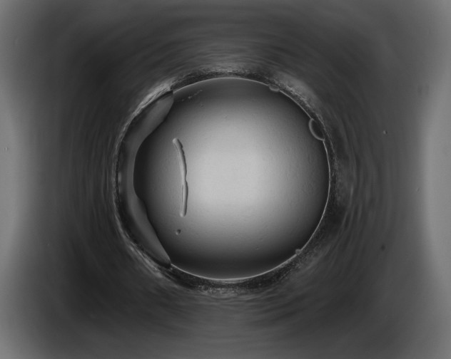 X0000086730482200704131110