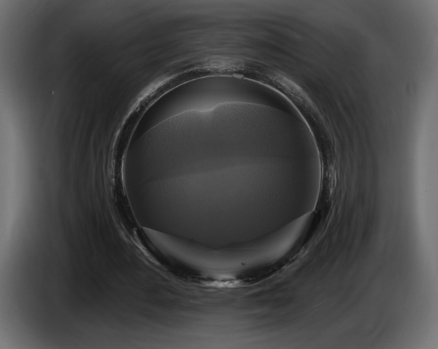 X0000086730484200704131110