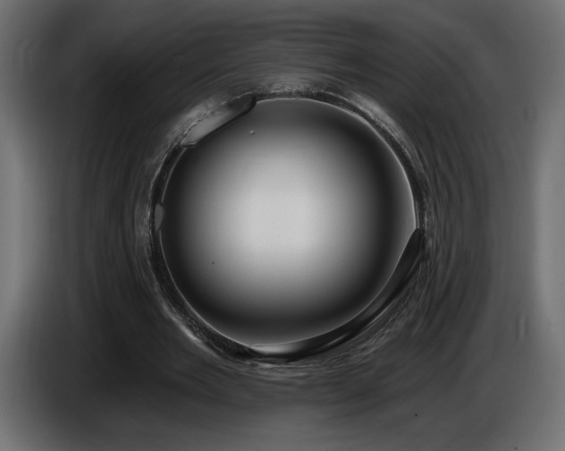 X0000086730485200704131110