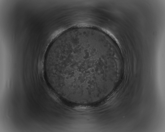 X0000086730487200704131110
