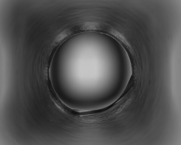 X0000086730489200704131110